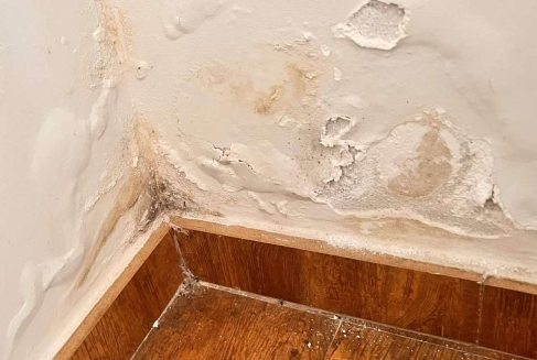 Reparacion de Humedades Top Tejados Ourense