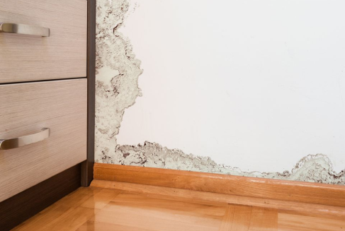 Reparacion de Humedades Top Tejados Ourense