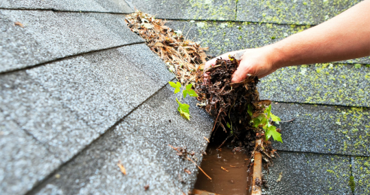 Trabajos Verticales Top Tejados Ourense