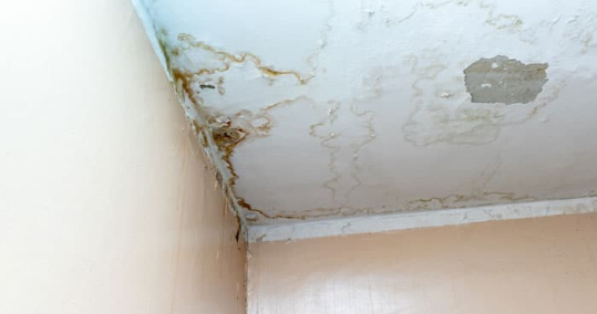 Reparacion de Humedades Top Tejados Ourense