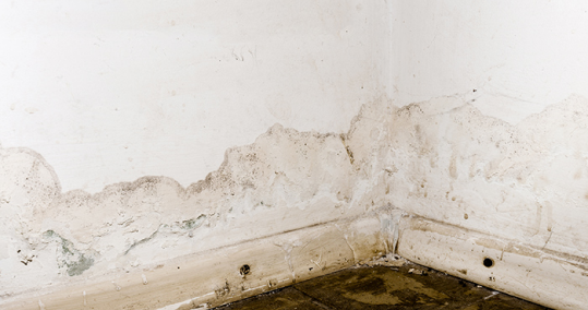 Reparacion de Humedades Top Tejados Ourense